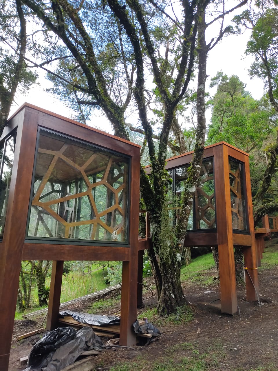 Capa da obra Casa na Árvore